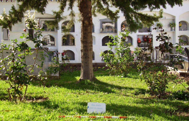 Cementerio de El Gastor, Cádiz www.cementerio.info