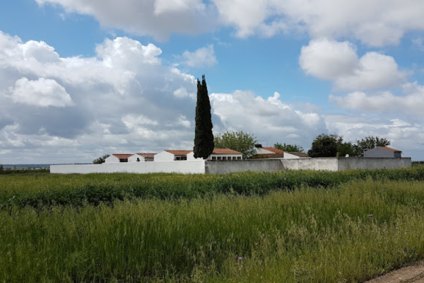  https://www.cementerio.info/ . La foto muestra una vista del Cementerio Municipal de Acedera en Badajoz. Está tomada desde cierta distancia, lo que permite apreciar el contraste del cementerio blanco contra un paisaje rural. Un campo de hierba alta, probablemente de trigo o cebada, en su estado verde, se extiende hacia el muro perimetral del cementerio, que es de color blanco y se ve impecable contra el cielo azul y nuboso. Un ciprés alto y esbelto se alza en un lado, destacando con su forma vertical y su verde oscuro. En el fondo, el cielo está dramáticamente adornado con grandes nubes blancas y grises, típicas de un día parcialmente nublado pero luminoso.