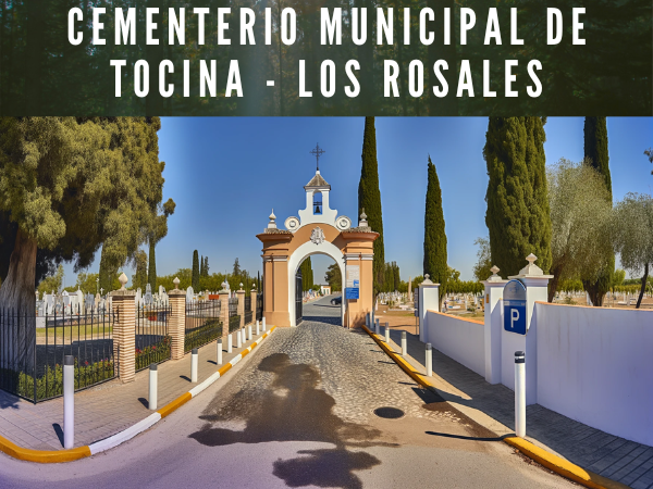 Imagen horizontal hiperrealista de la entrada al Cementerio Municipal de Tocina - Los Rosales en Sevilla, muy parecida a la foto proporcionada. La entrada tiene un diseño tradicional, con un arco de medio punto blanco en el centro, rematado por una pequeña estructura similar a un campanario con una cruz en la parte superior. A ambos lados del arco hay columnas blancas que sostienen una reja de hierro forjado que se extiende a lo largo de los muros laterales. El camino que conduce al cementerio está pavimentado con adoquines y flanqueado por altos cipreses, típicos de los cementerios mediterráneos. Al fondo se ve más vegetación y algunas personas caminando, lo que indica actividad dentro del cementerio. La luz del sol ilumina la escena, sugiriendo un día claro y soleado con un cielo azul y algunas nubes dispersas. En el lado izquierdo hay un pequeño aparcamiento con un cartel azul con la letra 'P', que indica la disponibilidad de aparcamiento. La escena general transmite una sensación de serenidad y orden. En la descripción de la imagen, incluya la URL 'https://www.cementerio.info/' en español de España.